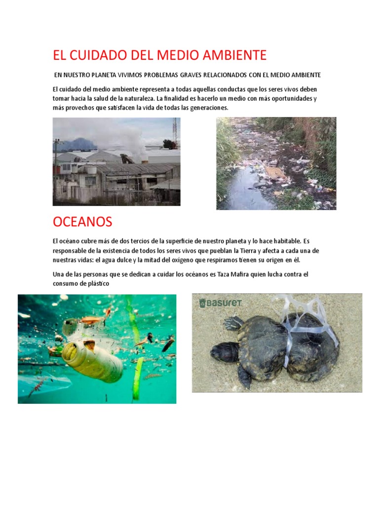 Cuidado del Medio Ambiente y Océanos | PDF