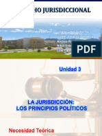 Jurisdiccional Los Principios Politicos