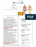 El Aparato Locomotor