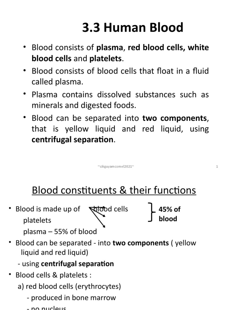 BLOOD | PDF