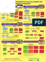 Fluxograma de Atendimento em Caso de Acidentes Por Animais Peçonhentos