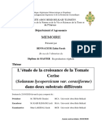 5.1.4-L'rtude de La Croissance de La Tomate Cerise Dans Deux Substrats Différents