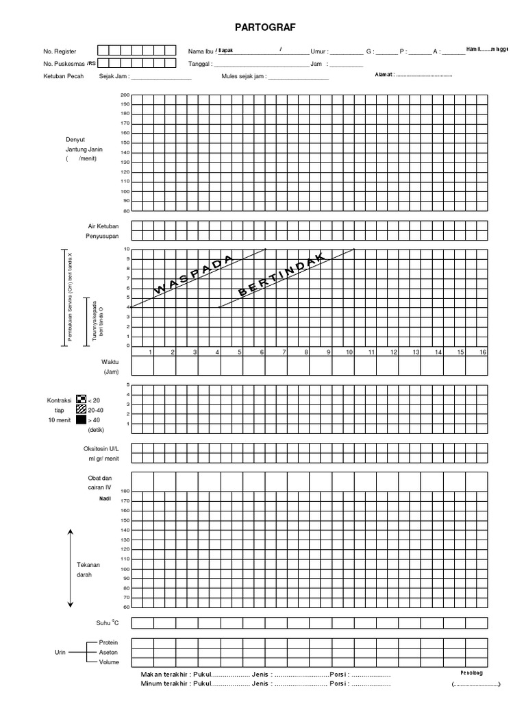 Panduan Lengkap Partograf Persalinan | PDF