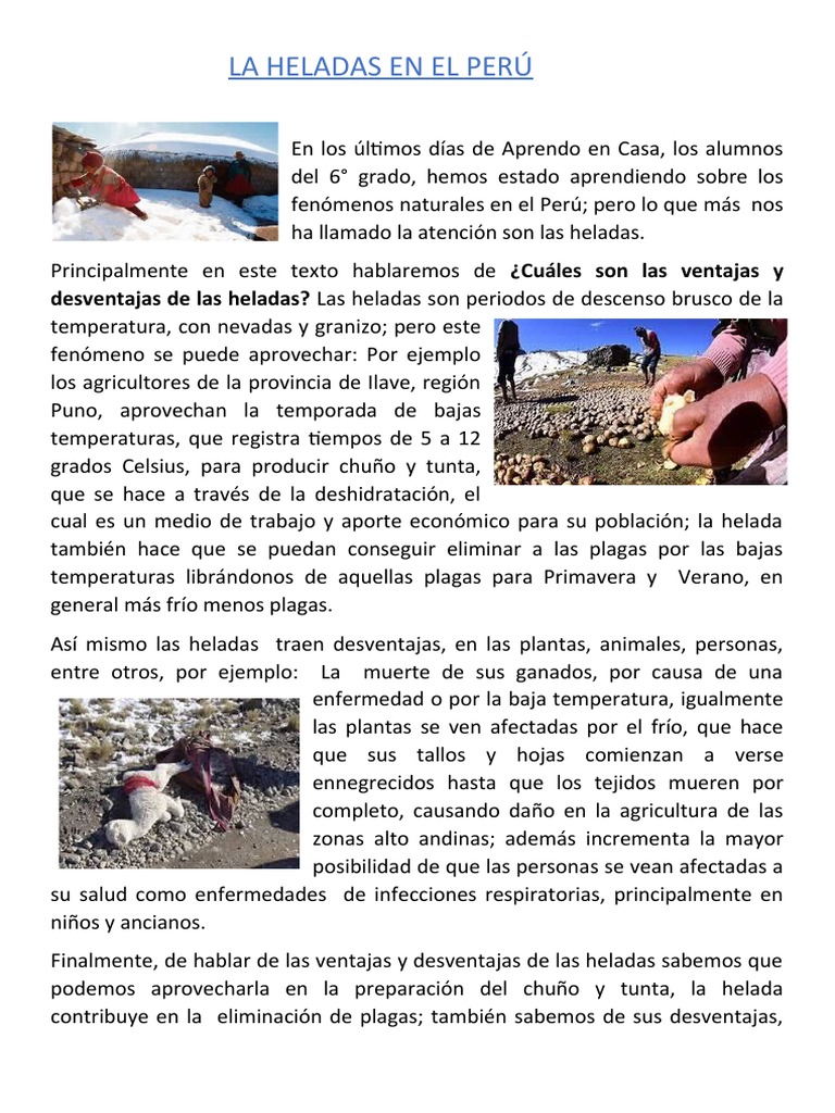 Las Heladas en El Perú | PDF | Agricultura | Plaga (organismo)