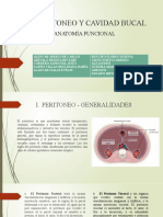 Peritoneo y Cavidad Bucal