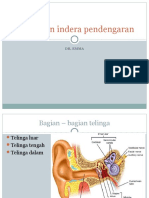 Kesehatan Indera Pendengaran