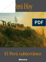 Durand, Francisco (2013) - "Socioeconomiìas Informales y Delictivas". Peruì Hoy, El Peruì Subterraìneo