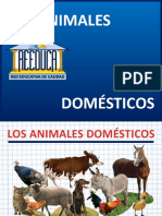 Animales Domésticos