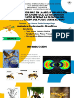 Efectos Del Campo Electromagnético en Las Abejas Sin Aguijon