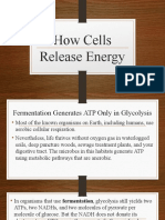 How Cells Release Energy Part 3
