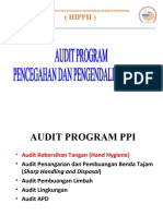 Audit Program Ppi New