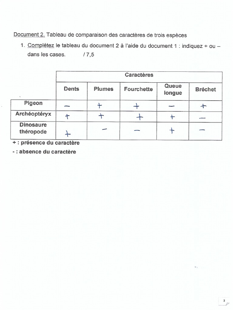Brevet Blanc Svt PDF