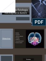 Anatomia Si Fiziologia Nociceptiei Si Durerii