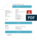 Curriculum Vitae Mahendra