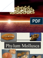 Topic-11 - Mollusca 10