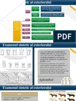 Curs 3 Cresterea Animalelor