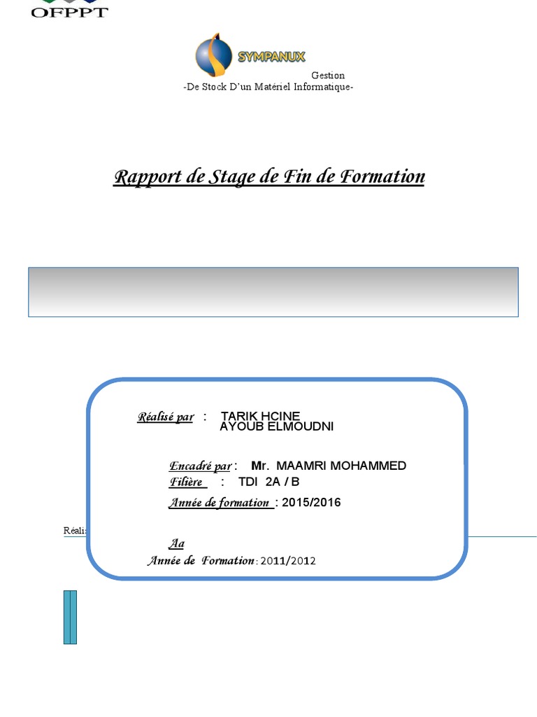 Gestion de Stock Informatique au Tchad | PDF | Application | Microsoft