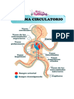 Sistema Circulatorio