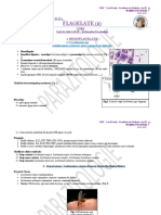 HEMOFLAGELATE (2) + SPOROZOARE (1) - CURS 3 Si LP 3 - 28.10.2021