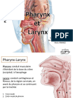 Larynx Pharynxpaces 2012 PDF Blanc