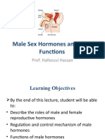 Male Sex Hormones Functions