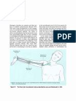 Preface 2005 Clinical-Neurodynamics