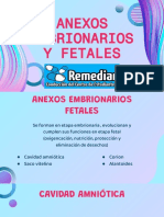 Anexos Embrionarios y Fetales HyE