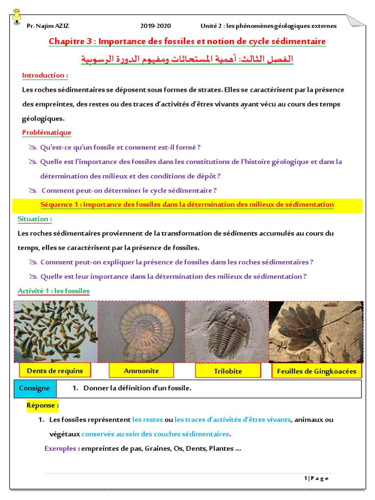 FOSSILISATION ET FOSSILES Cours PDF 2 | PDF | Fossile | Échelle des temps  géologiques, image size:768x1024