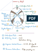 Foramen of Skull