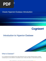 Hyperion Essbase