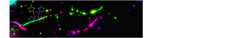 Neon | PDF