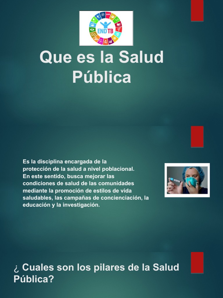 Que Es La Salud Pública Pdf