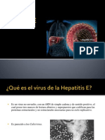 Hepatitis E