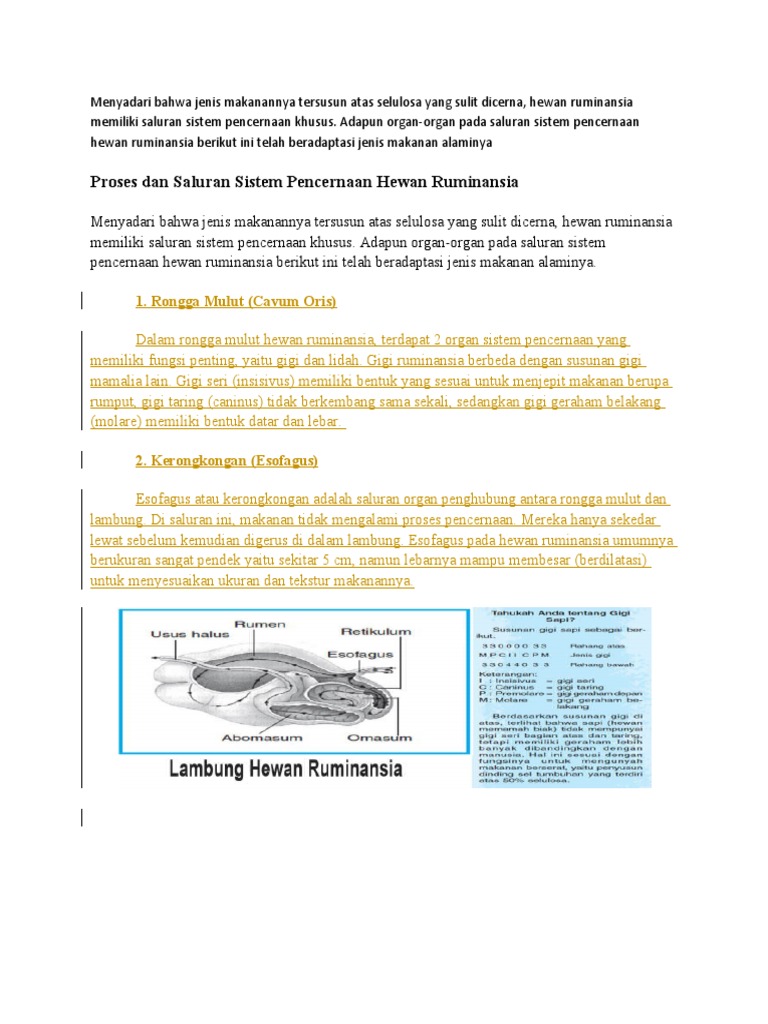 Hewan Ruminansia | PDF | Sains & Matematika