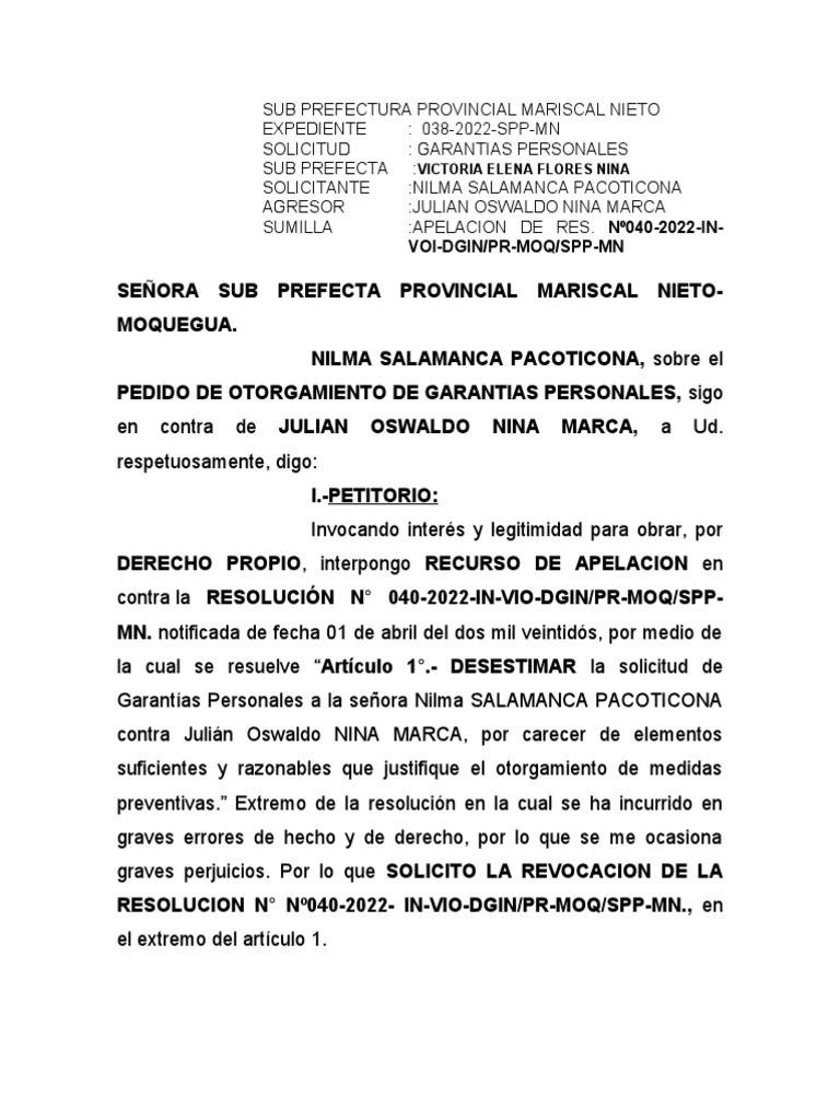 Apelacion de Garantias Nilma PDF Gobierno Justicia