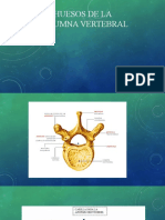 Practica Columna Vertebral