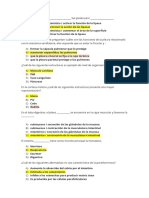 FINAL - Estructura y Funcion