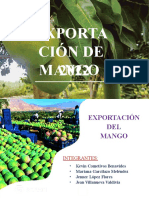 Mango - Exportación