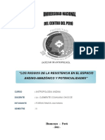 Los Rasgos de La Resistencia en El Espacio Andino