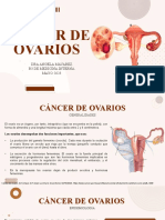 Cancer de Ovarios