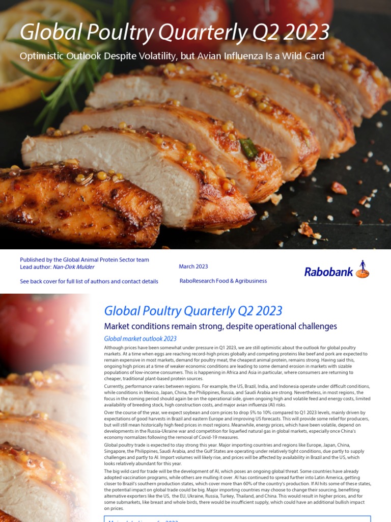 Global Poultry Market Outlook Q2 2023 | PDF | Poultry | Meat