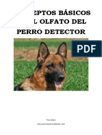 El olfato en el perro detector