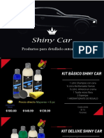 Shiny Car PDF