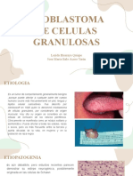 Patologia - Mioblastoma de Celulas Granulosas - Jose Maria Italo Acero Yarin y Lerida Huaraya Quispe