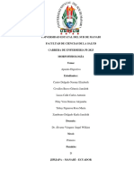 Sistema Digesdtivo Morfofisiología