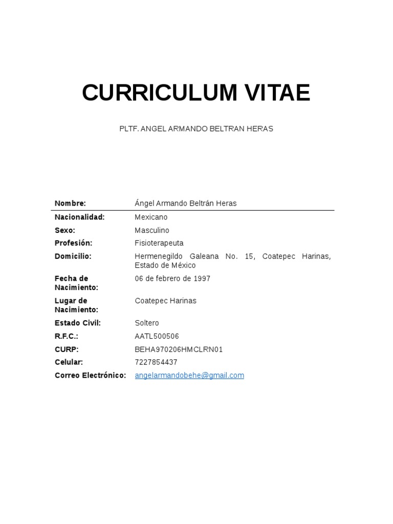 CURRICULUM VITAE Armando Descargar gratis PDF Terapia física