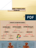 Presentacion Anatomia Abuela