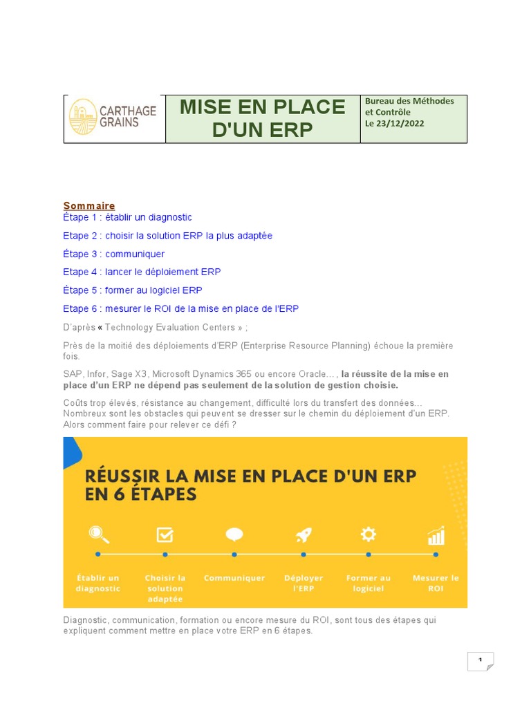Mise en place réussie d'un ERP | PDF | Progiciel de gestion intégré ...