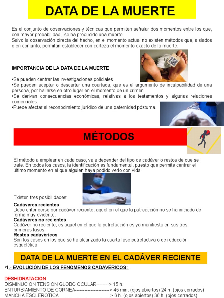 data-de-la-muerte-y-fases-cadav-ricas-pdf-muerte-cad-ver