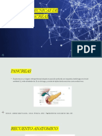 Anatomia y Tecnicas de Examen de Pacreas